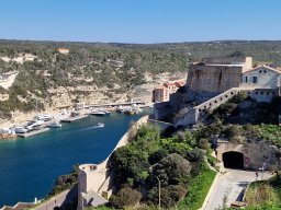 202603-c-Bonifacio