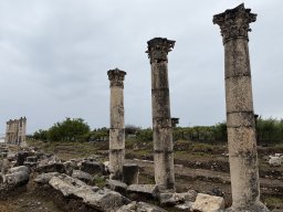 202605-d1-Mersin