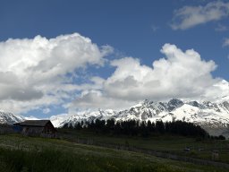 202606-c-Tsvirmi