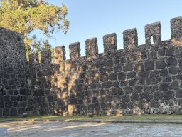 202606-f-Gonio